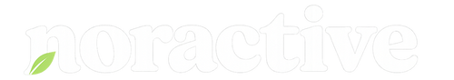Noractive